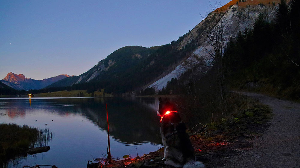Вечірній настрій на гірському озері с Світиться нашийник Leuchtie
